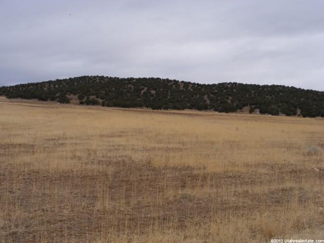 646 E Sheep Trail Rd, Holden, UT 84636 — photo 6