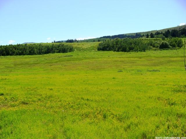 40 Ac Lonepine SE, Bear Lake County, ID 83254 — photo 2