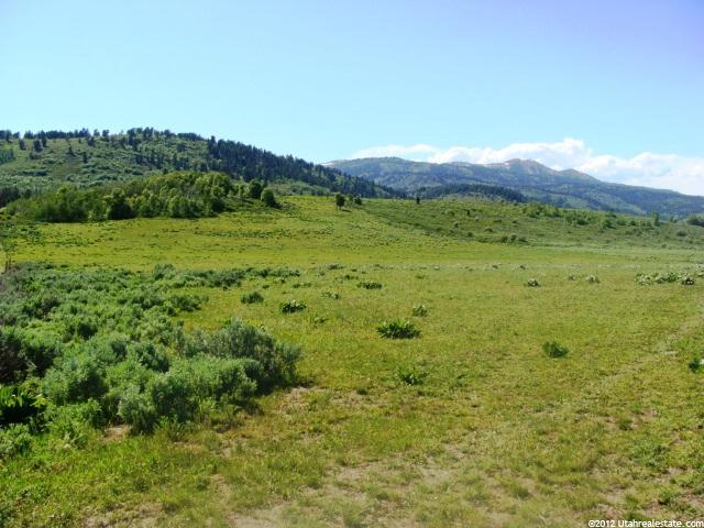 40 Ac Lonepine NE, Montpelier, ID 83254 — photo 3