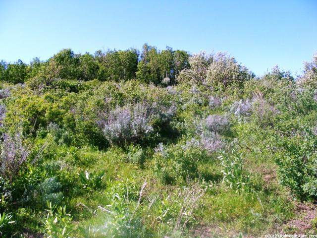 40 Ac Lonepine NE, Montpelier, ID 83254 — photo 4