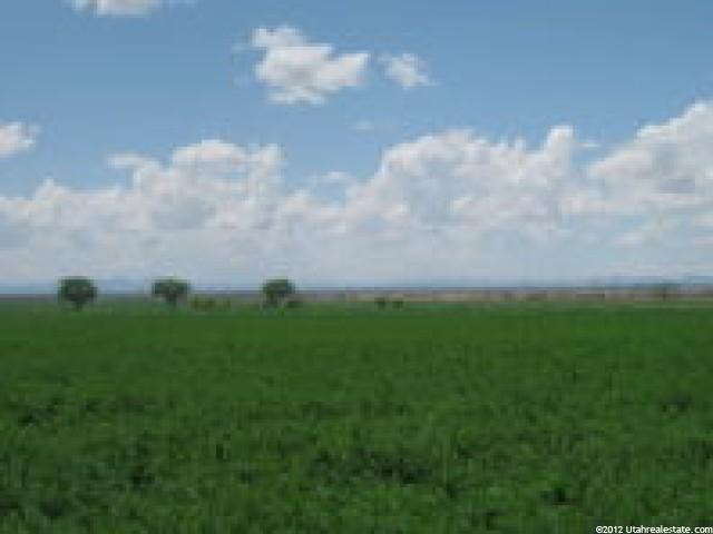 16210 E Hwy125, Oak City, UT 84649 — photo 2