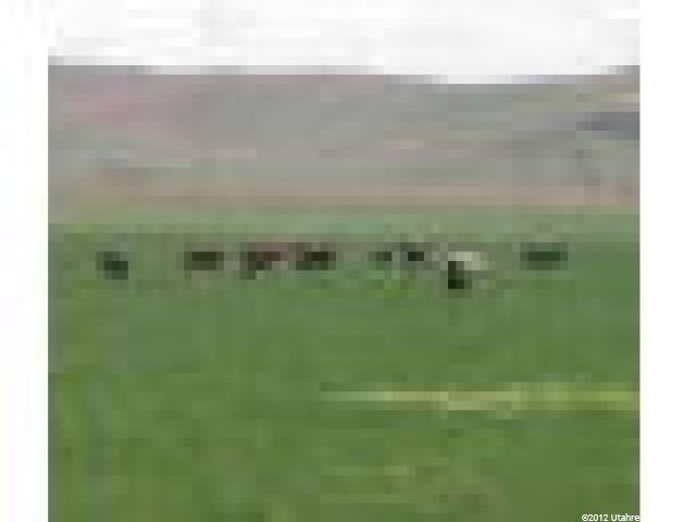 16210 E Hwy125, Oak City, UT 84649 — photo 5