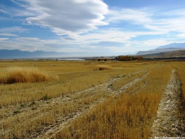 7150 N 7600 W, Newton, UT 84327 — photo 2
