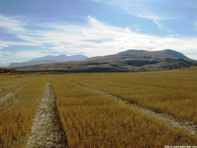 7150 N 7600 W, Newton, UT 84327 — photo 3