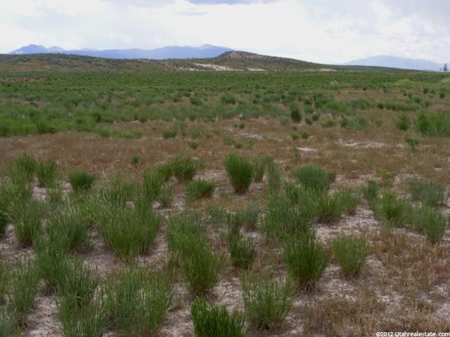 2082 W Mills, Nephi, UT 84648 — photo 2