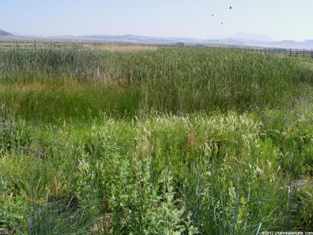 2082 W Mills, Nephi, UT 84648 — photo 5