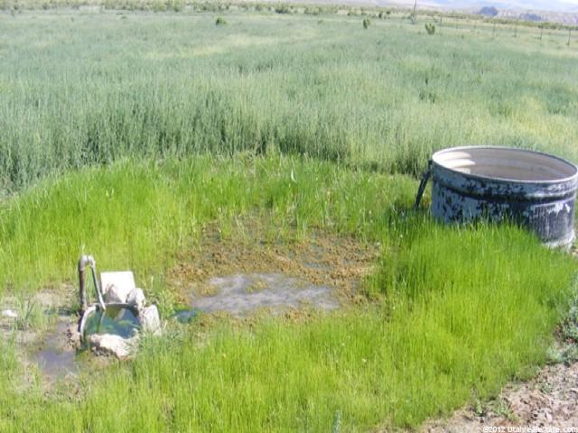 2082 W Mills, Nephi, UT 84648 — photo 6