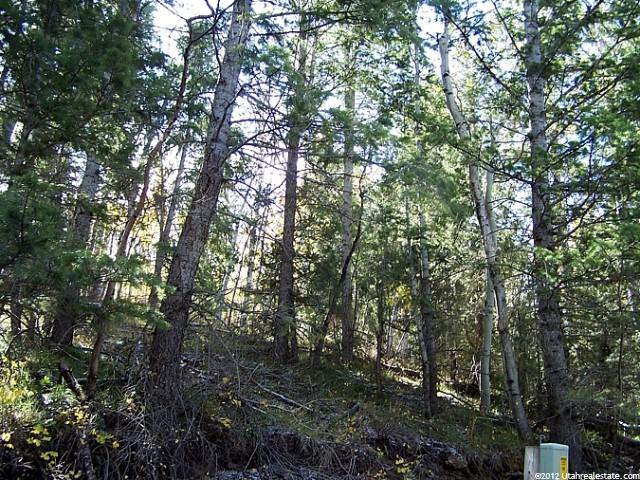 7941 Bristlecone Dr #38, Daniel, UT 84032 — photo 2