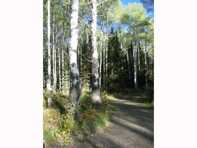 5289 Pinecone Rd #172, Midway, UT 84049 — photo 3