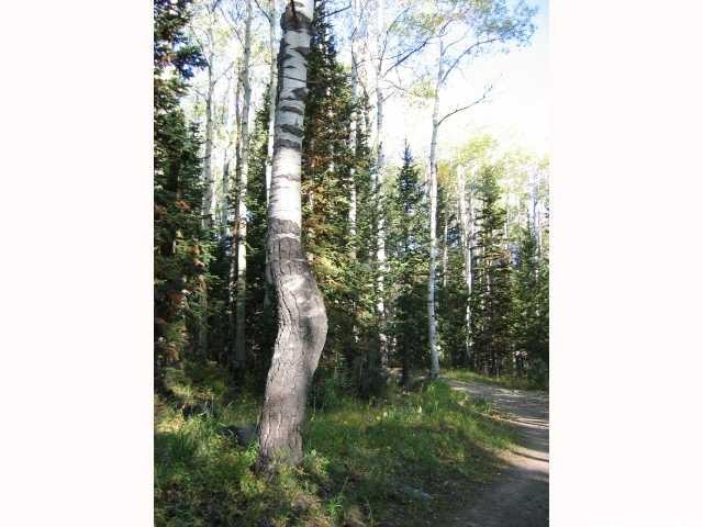 5289 Pinecone Rd #172, Midway, UT 84049 — photo 4
