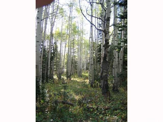 5289 Pinecone Rd #172, Midway, UT 84049 — photo 5