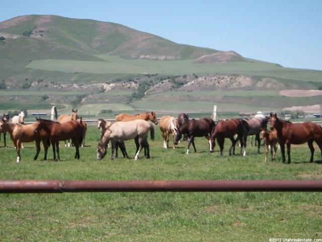 2700 W 5000 S, Weston, ID 83286 — photo 4