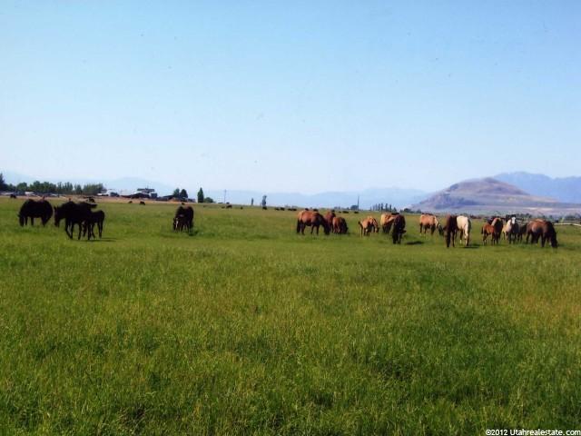 2500 W 5000 S, Weston, ID 83286 — photo 4