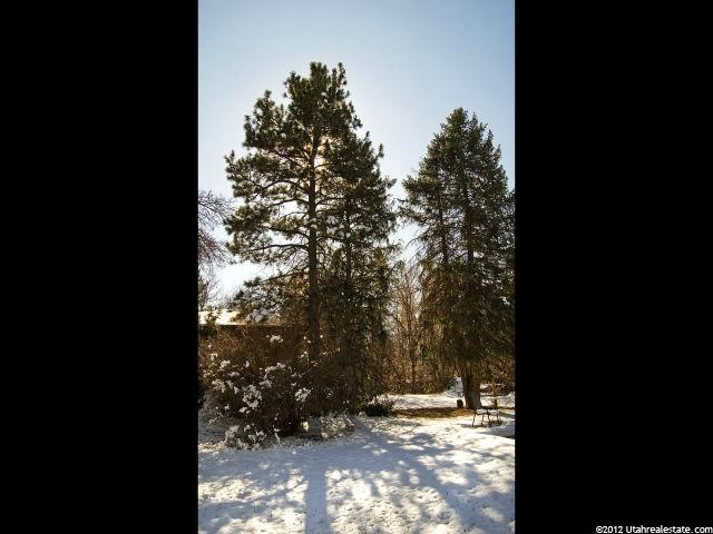 2173 Walker Ln, Holladay, UT 84117 — photo 5