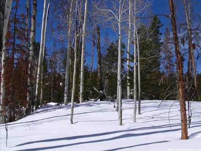 1092 Monviso Trl #4, Kamas, UT 84036 — photo 8