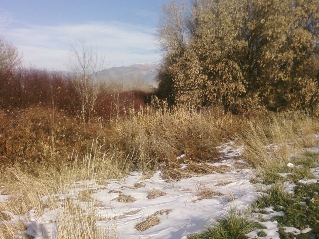 460 W 400 N, Hyrum, UT 84319 — photo 5