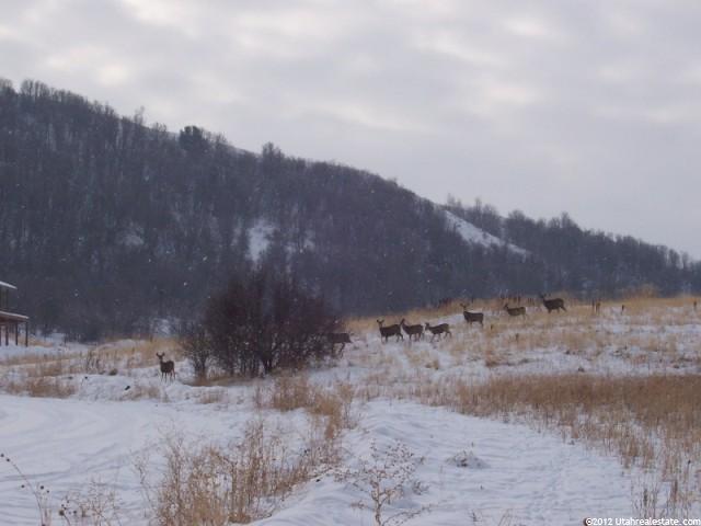 1300 E Canyon Rd #3, Avon, UT 84328 — photo 2