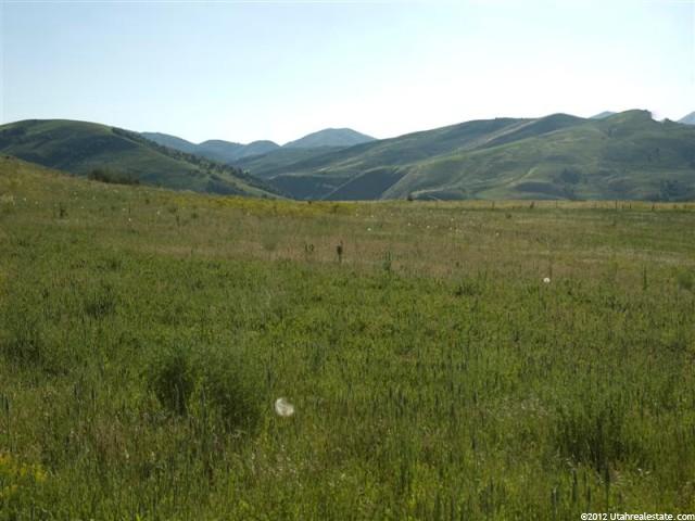 1300 E Canyon Rd #3, Avon, UT 84328 — photo 10