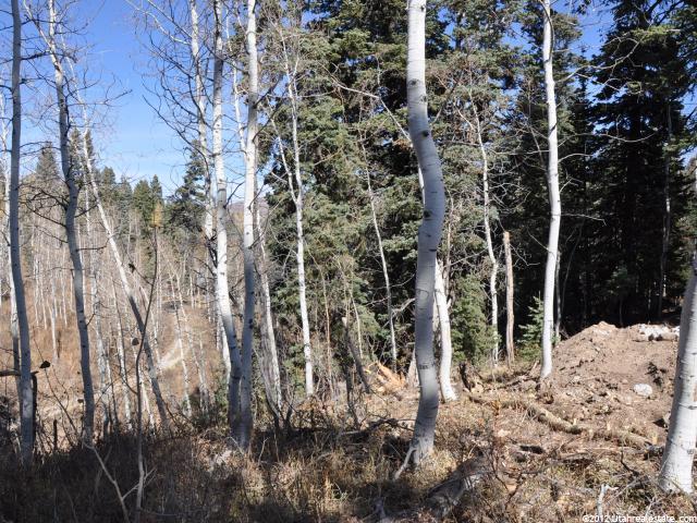 2369 S Pine Meadow Dr #C-60, Wanship, UT 84017 — photo 12