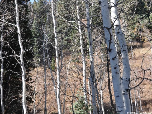 2369 S Pine Meadow Dr #C-60, Wanship, UT 84017 — photo 4
