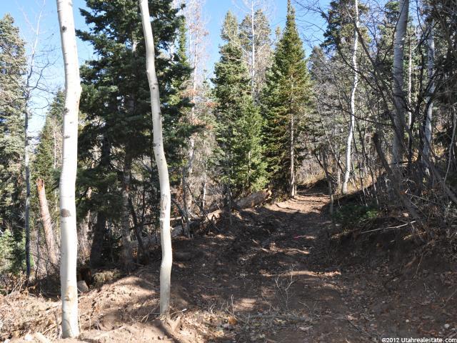2369 S Pine Meadow Dr #C-60, Wanship, UT 84017 — photo 5