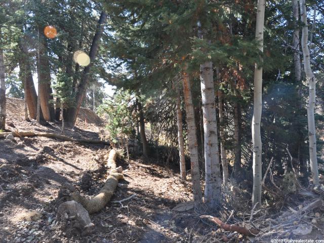 2369 S Pine Meadow Dr #C-60, Wanship, UT 84017 — photo 6