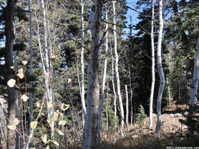 2369 S Pine Meadow Dr #C-60, Wanship, UT 84017 — photo 8