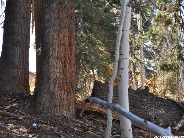2369 S Pine Meadow Dr #C-60, Wanship, UT 84017 — photo 9