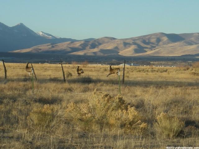 500 E 19500 N, Moroni, UT 84646 — photo 2