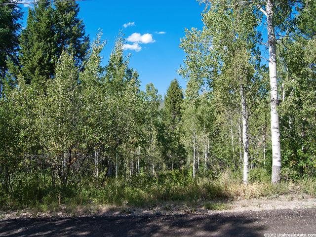 512 Blue Spruce Dr #512, Oakley, UT 84055 — photo 2