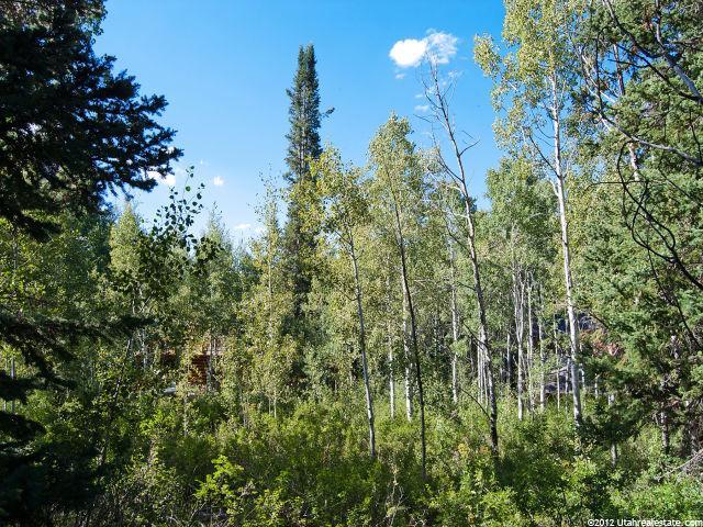 512 Blue Spruce Dr #512, Oakley, UT 84055 — photo 4
