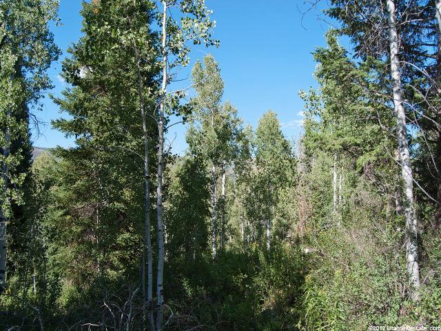 512 Blue Spruce Dr #512, Oakley, UT 84055 — photo 6