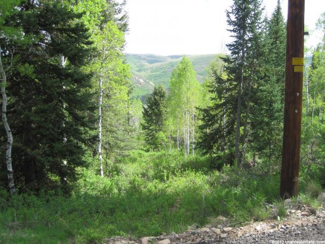 512 Blue Spruce Dr #512, Oakley, UT 84055 — photo 8