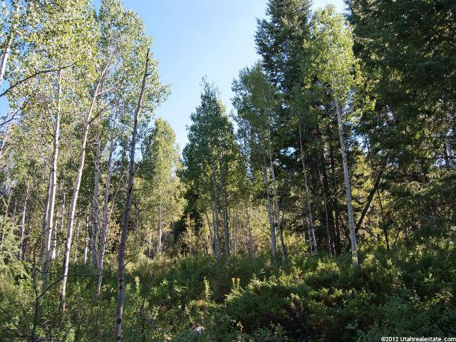512 Blue Spruce Dr #512, Oakley, UT 84055 — photo 10