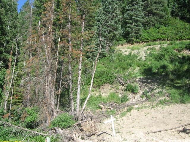 705 Parkview Dr #52, Park City, UT 84098 — photo 2