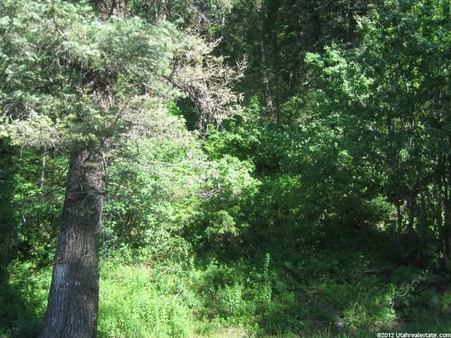 625 Parkview Dr #61, Park City, UT 84098 — photo 2