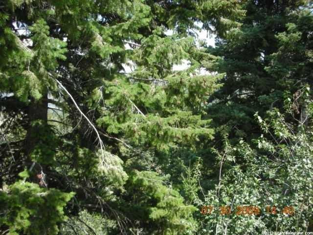 165 Crestview Cir #74A, Park City, UT 84098 — photo 3