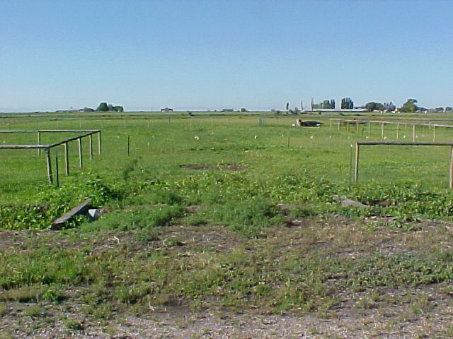 5100 W 2400 N, Corinne, UT 84307 — photo 5