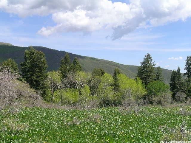 144 Bear Tooth Rdg, Wanship, UT 84017 — photo 3