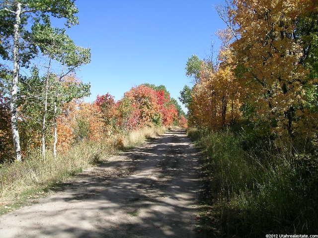 144 Bear Tooth Rdg, Wanship, UT 84017 — photo 5