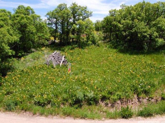 2403 N Panorama Cir E #34, Eden, UT 84310 — photo 2