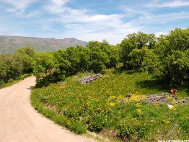 2403 N Panorama Cir E #34, Eden, UT 84310 — photo 3