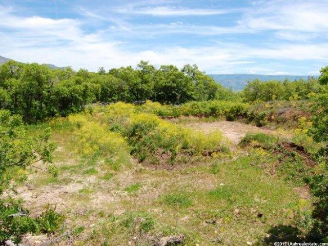 2403 N Panorama Cir E #34, Eden, UT 84310 — photo 6