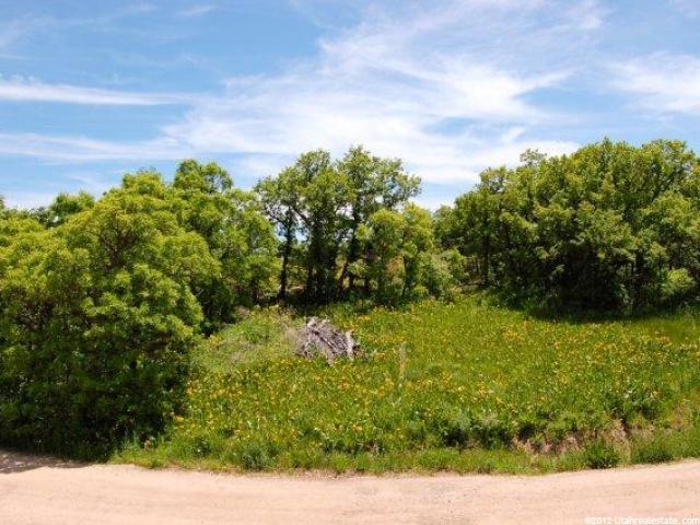 2403 N Panorama Cir E #34, Eden, UT 84310 — photo 7