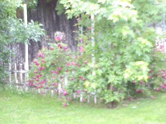 1771 N 450 E, North Ogden, UT 84414 — photo 4