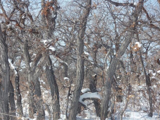 15 Red Hawk Ridge Rd #9, Summit County, UT 84098 — photo 4