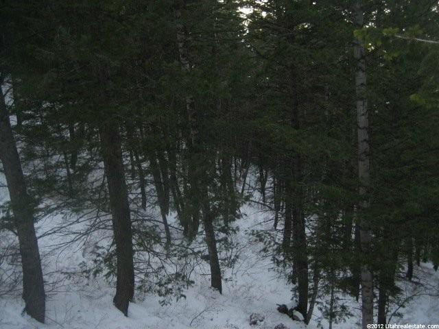 100 Matterhorn Ter, Summit Park, UT 84098 — photo 6