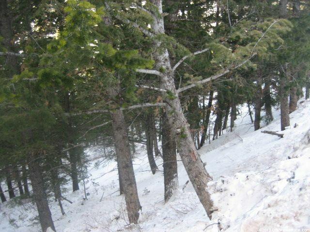 100 Matterhorn Ter, Summit Park, UT 84098 — photo 8
