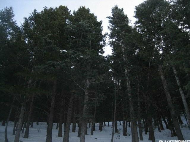 100 Matterhorn Ter, Summit Park, UT 84098 — photo 9