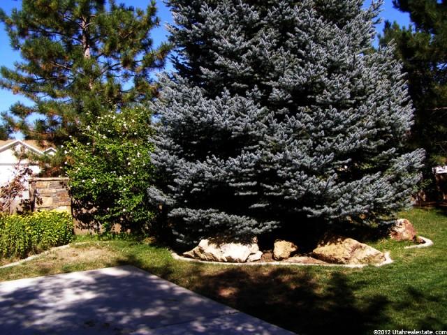 2114 E Wasatch Blvd S, Sandy, UT 84092 — photo 12
